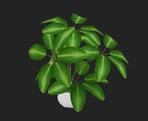 ӡȶس̨ʩϿף ǿ